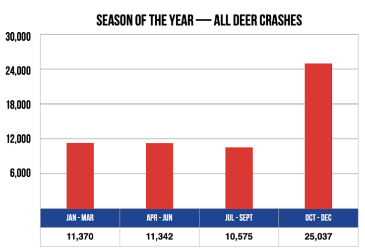 Deer crashes peak each fall in Michigan: here’s what to know